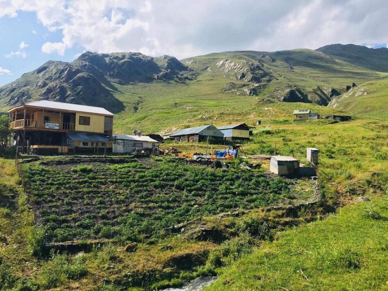 Shio'S Stonehouse In Tusheti Hostel Exterior foto